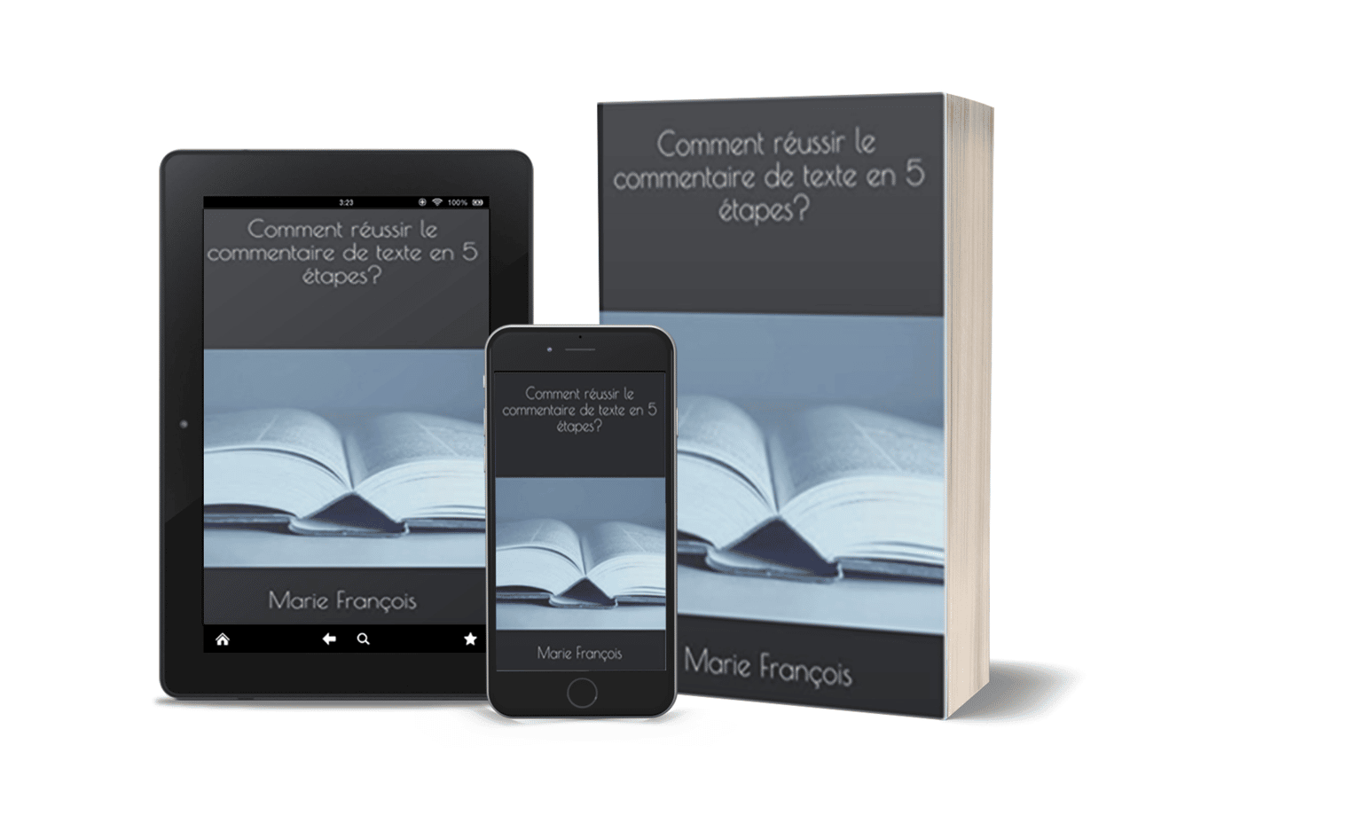 Comment Réviser La Dissertation Pour Le Bac De Français commentaireetdissertation.fr